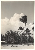 MISSING THUMBNAIL