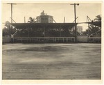 Baseball scenes at Flamingo Park