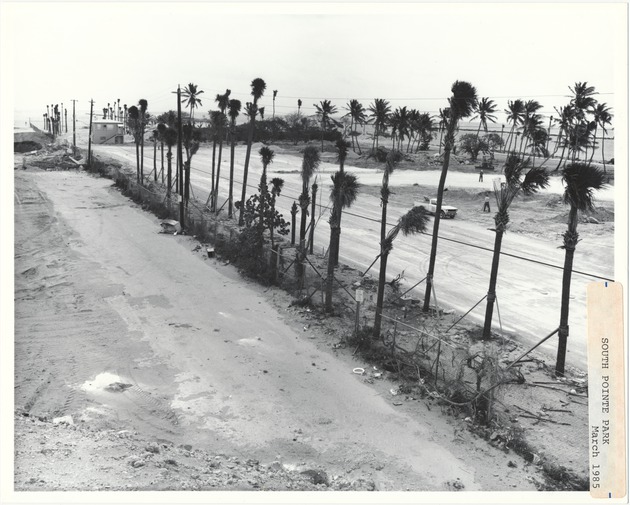 South Pointe Park under construction, April-May 1985 - An avenue of Palms - 