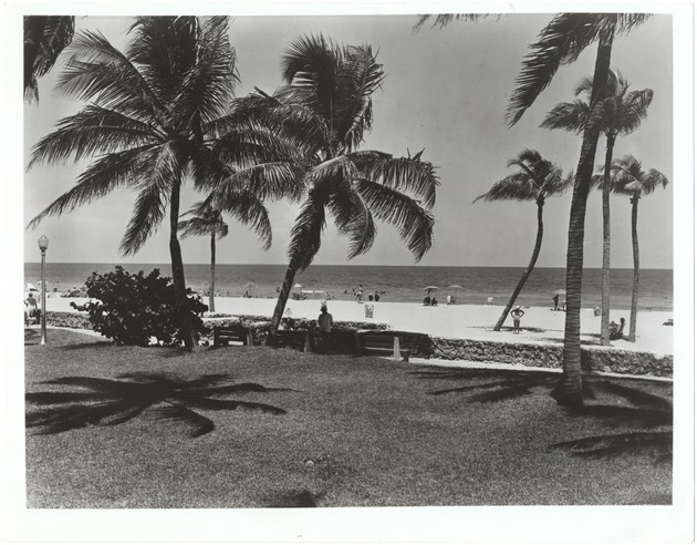 Breezy Day at Miami Beach as Bathers Enjoy the Sand and the Green Space - 