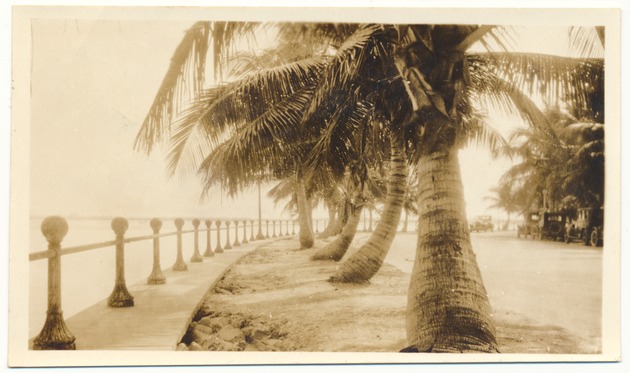Bayshore Drive, Blue Stone Apartments, and the Miami Harbor - Photograph, recto: [View of Bayshore Drive]