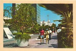 Tourists walking along Lincoln Road<br />( 26 volumes )