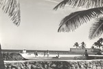 Miami Beach beach and pool scenes, ca. 1950
