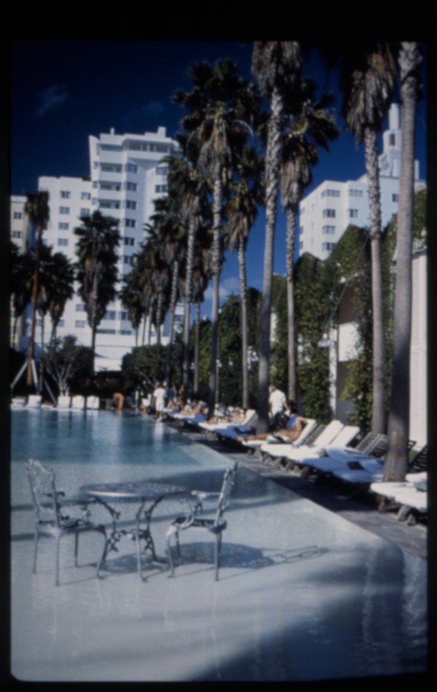 Delano Hotel pool