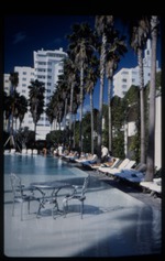 Delano Hotel pool