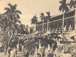 Beautiful Hialeah Park