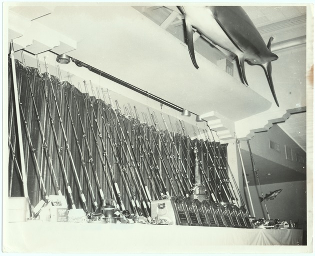 Fishing poles and fishing trophies on a table - Recto Photograph