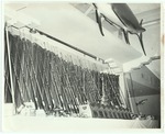 Fishing poles and fishing trophies on a table