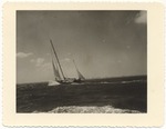 Sailboats on the ocean