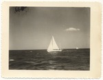 MISSING THUMBNAIL