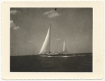 MISSING THUMBNAIL