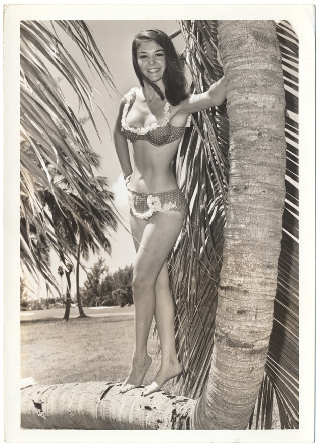 Sandee Panco climbing a palm tree - 
