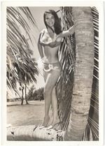 Sandee Panco climbing a palm tree