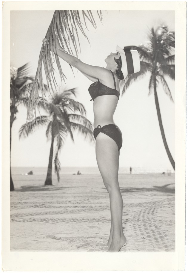 Gladys Engle examining a palm tree leaf - 