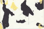 MISSING THUMBNAIL