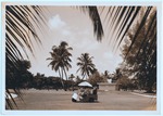 MISSING THUMBNAIL