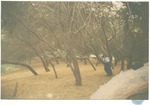 MISSING THUMBNAIL