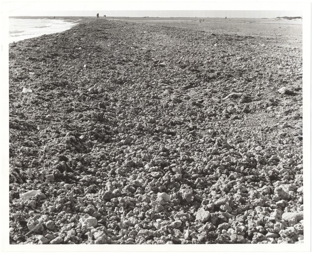 Coral rock, beaches, and buildings in Miami Beach, 1973 - Photograph, recto: [View of coral rock on South Beach, October 16 1973]