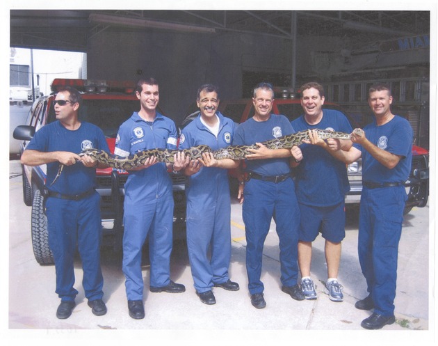 Miami Beach Firefighters holding large captured snake