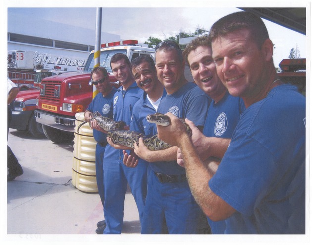Fire fighters holding caught snake