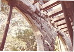 MISSING THUMBNAIL