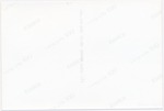 MISSING THUMBNAIL