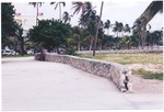 Ocean Drive in 1995 Photographs