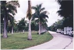MISSING THUMBNAIL