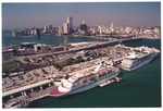 Cruise ships on Dodge Island