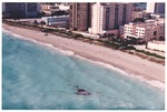 Miami Beach shoreline aerial view