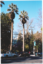 Streets of San Francisco, California