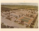 Stadium of Nations