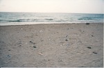 MISSING THUMBNAIL