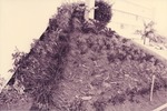 MISSING THUMBNAIL