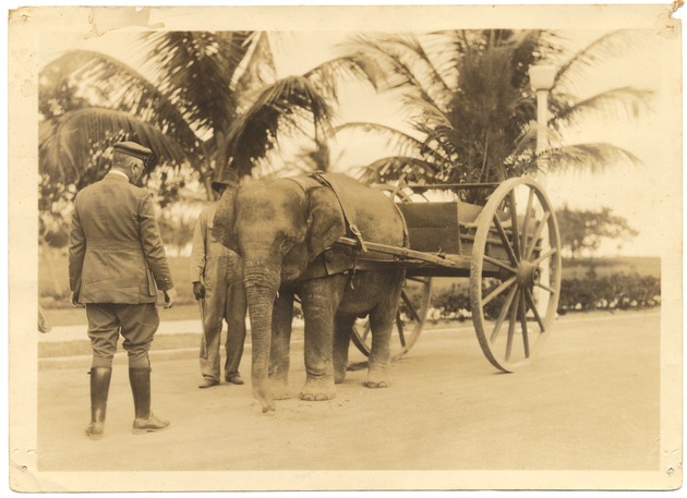 Photograph of Miami Beach Police and Cars - Image 3