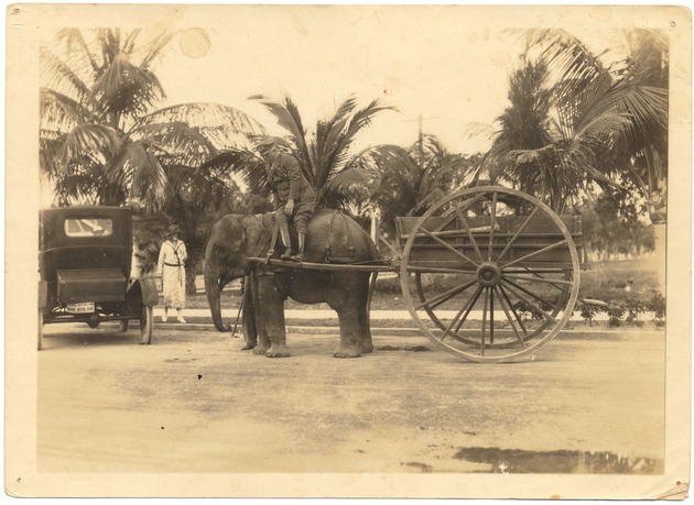 Photograph of Miami Beach Police and Cars - Image 4
