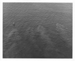 MISSING THUMBNAIL