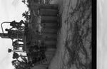 MISSING THUMBNAIL