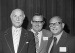 City Halls swearing-in events and an arts festival, 1977