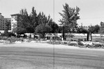 MISSING THUMBNAIL