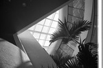 MISSING THUMBNAIL