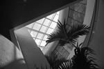 MISSING THUMBNAIL