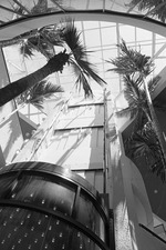 MISSING THUMBNAIL