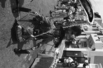 MISSING THUMBNAIL