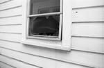 MISSING THUMBNAIL