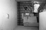 MISSING THUMBNAIL