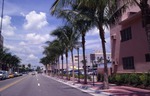 Miami Beach street scene with Large Palms
