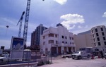 The Construction of the Royal Palm
