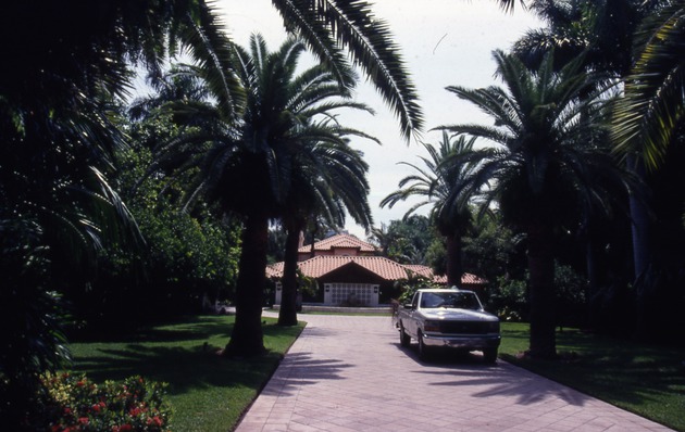 Residence hidden in among Palms