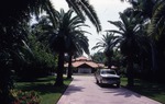 Residence hidden in among Palms